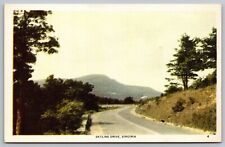 Skyline Drive Virginia Scenic Mountain Landscape Roadway DB UNP Postcard picture
