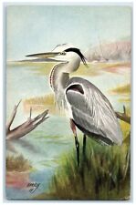 Great Blue Heron Ardea Occidentalis Harvey Animals Unposted Vintage Postcard picture