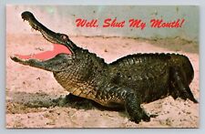 Well Shut My Mouth Alligator In Florida Vintage Unposted Postcard picture
