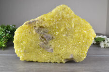 Native Sulfur Crystals on Matrix from Bolivia  21.5 cm  # 19344 picture
