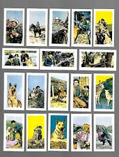 CIGARETTE/TRADE/CARDS. Cadet. THE ADVENTURES OF RIN TIN TIN. (1960). (Set of 48) picture