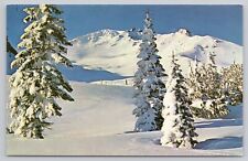 Mount Shasta California, Snow Covered Mount Shasta in Winter, Vintage Postcard picture