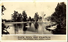 RPPC Duck Pool & Fountain Forest Lawn Memorial Park Glendale California 1904-50 picture