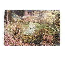 Washington DC Home Garden Upton Street Postcard picture