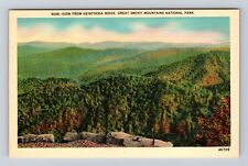 Great Smoky Mt Natl Park TN-Tennessee, Heintooga Ridge, Antique Vintage Postcard picture