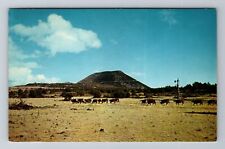 Raton NM-New Mexico, Mt. Capulin, Antique Vintage Souvenir Postcard picture