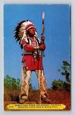 Holbrook AZ-Arizona, General Greeting, Indian Ceremonial Dress, Vintage Postcard picture