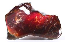 Ammolite Rare Bright Deep Cherry Red Rarer than Purple Alberta Canada COA 5830 picture