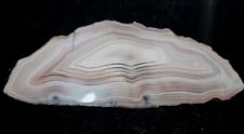 Northern Territory Australian Agate. picture