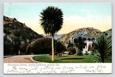 Descanso Canon Santa Catalina Island California Vintage c1907 Avalon Postcard picture