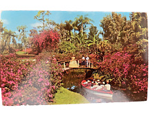 Postcard Cypress Gardens Lake Eloise Fl Florida Cypress Trees boat cruise  UNP picture