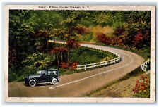 c1950's Road Scene on Devil's Elbow Curve Owego New York NY Unposted Postcard picture