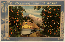 Streamliner Passing Through An Orange Grove California Vintage Linen Postcard picture