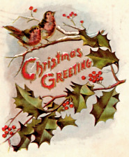 c1905 Christmas, holly, berries, embossed, early post card, undivided picture