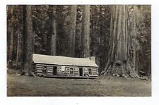 Early 1900's RPPC Log Cabin In Yosemite Ca. Giant Redwood picture