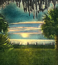 Vtg Litho Postcard 1940s Linen Andrews Bay Panama City FL Asheville PC Co NC SEE picture