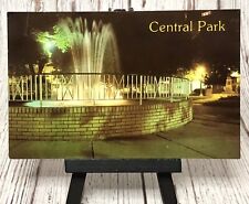 Central Park at Night Johnstown Pennsylvania PA Vintage Postcard picture
