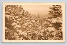 1934 RPPC Snowy Pines Mountain Scene Posted from North Conway NH Postcard picture