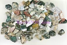 Wholesale Lot 2 Lbs Natural Ocean  Jasper Tumble Healing Energy Nice Quality picture