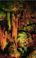 Postcard The Beautiful Caverns of Luray 