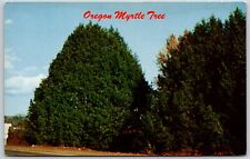 Oregon Myrtle Trees, Southwestern Oregon - Postcard picture