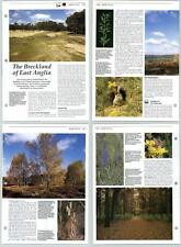 The Breckland Of East Anglia - Habitats - The Living Countryside 2 Pages picture