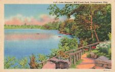 Youngstown OH Ohio, Lake Newport, Mill Creek Park, Vintage Postcard picture