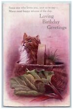 c1910's Birthday Greetings Cute Cat In Basket Oilette Tuck's Antique Postcard picture