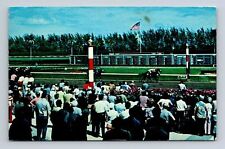 Postcard Thrilling Finish Horse Racing Hialeah Race Course Florida picture