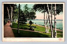 Wequetonsing MI-Michigan, Walk Through The Birches Antique Vintage Postcard picture