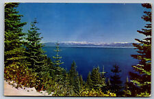 Postcard NV c.1950's Lake Tahoe W10 picture