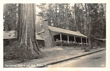 RPPC Mariposa Grove Big Trees Lodge, Wawona, CA Yosemite c1950s Vintage Postcard picture