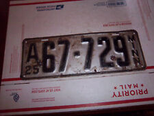vintage 1925 minnesota  A67-729  license plate  picture