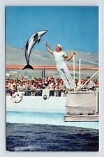 California Marineland Of Pacific High Jumping Porpoise Chrome Postcard picture