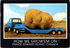 Postcard Exaggeration - Prince Edward Island Potato picture