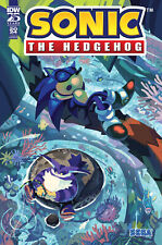 Sonic the Hedgehog: Annual 2024 VARIANT B (Fourdraine) 7/3/24 PRESALE picture