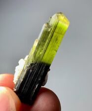 29 Cts Double Green Cap Tourmaline Crystal Specimen From Skardu pakistan picture