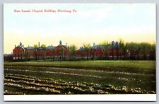 Harrisburg Pennsylvania~State Lunatic Hospital Buildings~c1910 Postcard picture