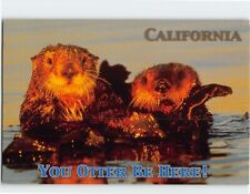 Postcard You Otter Be Here California USA picture