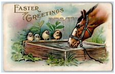 c1910's Easter Greetings Chicks Horse Drinking Water Embossed Antique Postcard picture