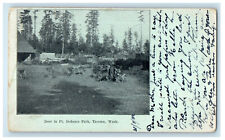 1902 Deer in Pt. Defiance Park, Tacoma Washington WA Posted Antique Postcard picture