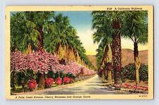 Postcard California Pomona CA Cherry Blossom Orange rove Palms 1941 Posted picture