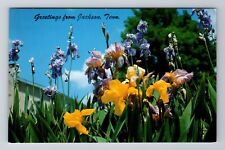 Jackson TN-Tennessee, General Greetings, Spring Flowers Antique Vintage Postcard picture
