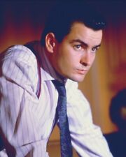 Charlie Sheen Wall Street 8x10 Real Photo picture