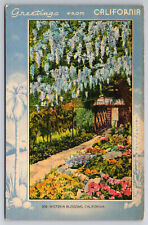 Vintage Postcard Greetings from California Wisteria Blossoms picture
