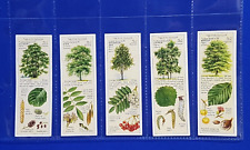 Ty-Phoo Tea Cards TREES OF THE COUNTRYSIDE (1938) Set of 25 in Sleeves picture