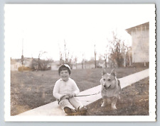 Original Old Outdoor Vintage Photo Picture Cute Smiling Little Girl Hat With Dog picture