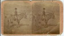 c1880s Colorado Pike's Peak Pack Jack boy on donkey picture