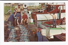 A Good Days Catch Bluefish Manasquan River Inlet Saga New Jersey Chrome Postcard picture