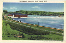 Bangor,ME Salmon Pool,Penobscot River Maine American Art Post Card Co. Postcard picture